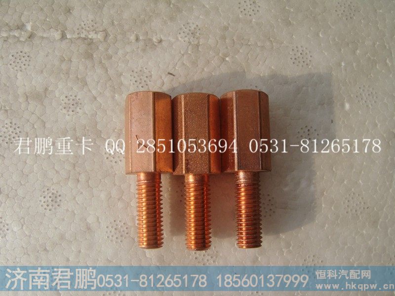 济南君鹏供应回油管螺栓VG1460070014