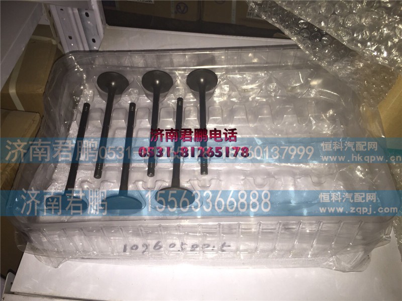PBVU0987
