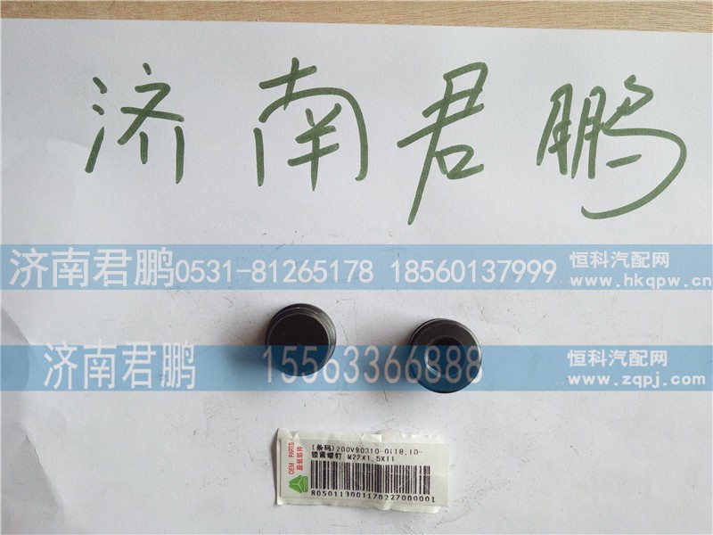 济南君鹏供应200V90310-0110 锁紧螺钉