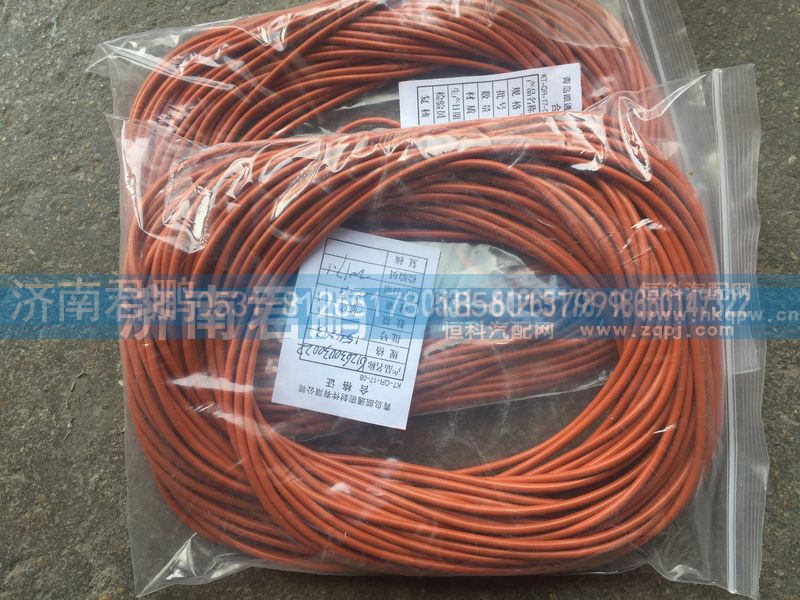 济南君鹏供应612630030022O密封圈