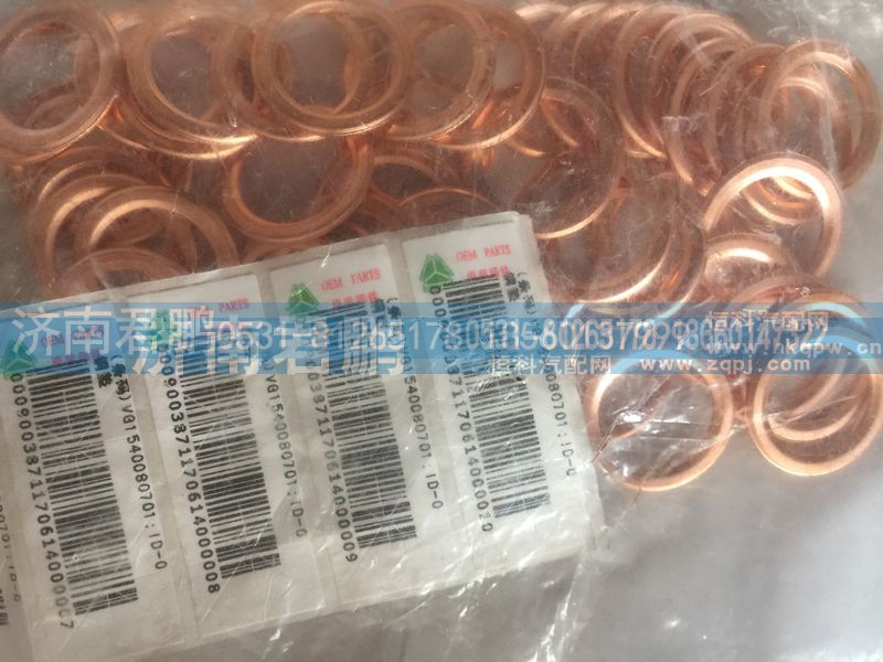 济南君鹏供应密封垫圈VG15400080701
