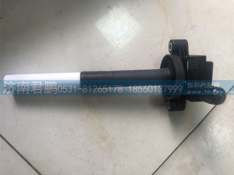 点火线圈202V25919-6003