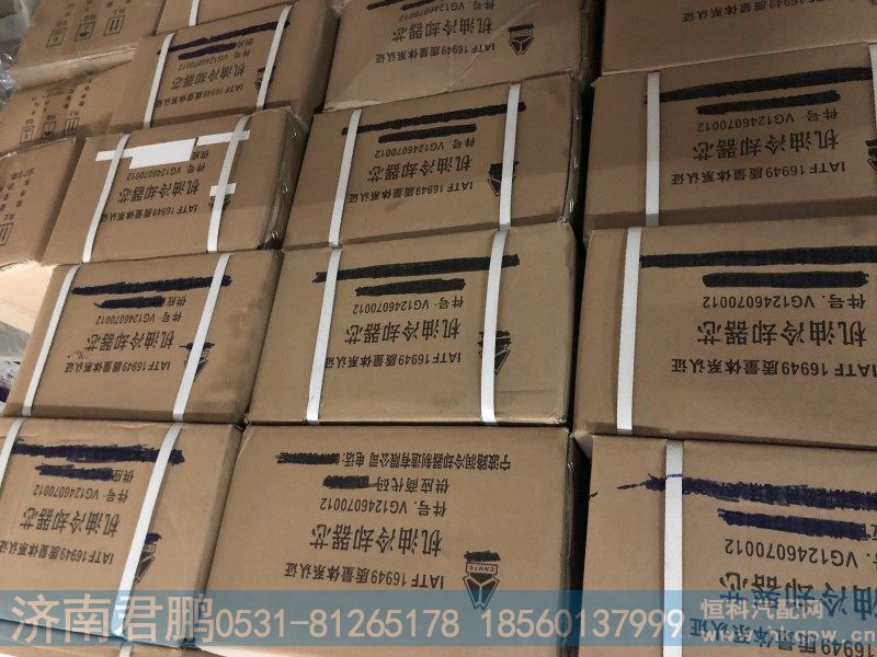 机油冷却器芯VG1246070012