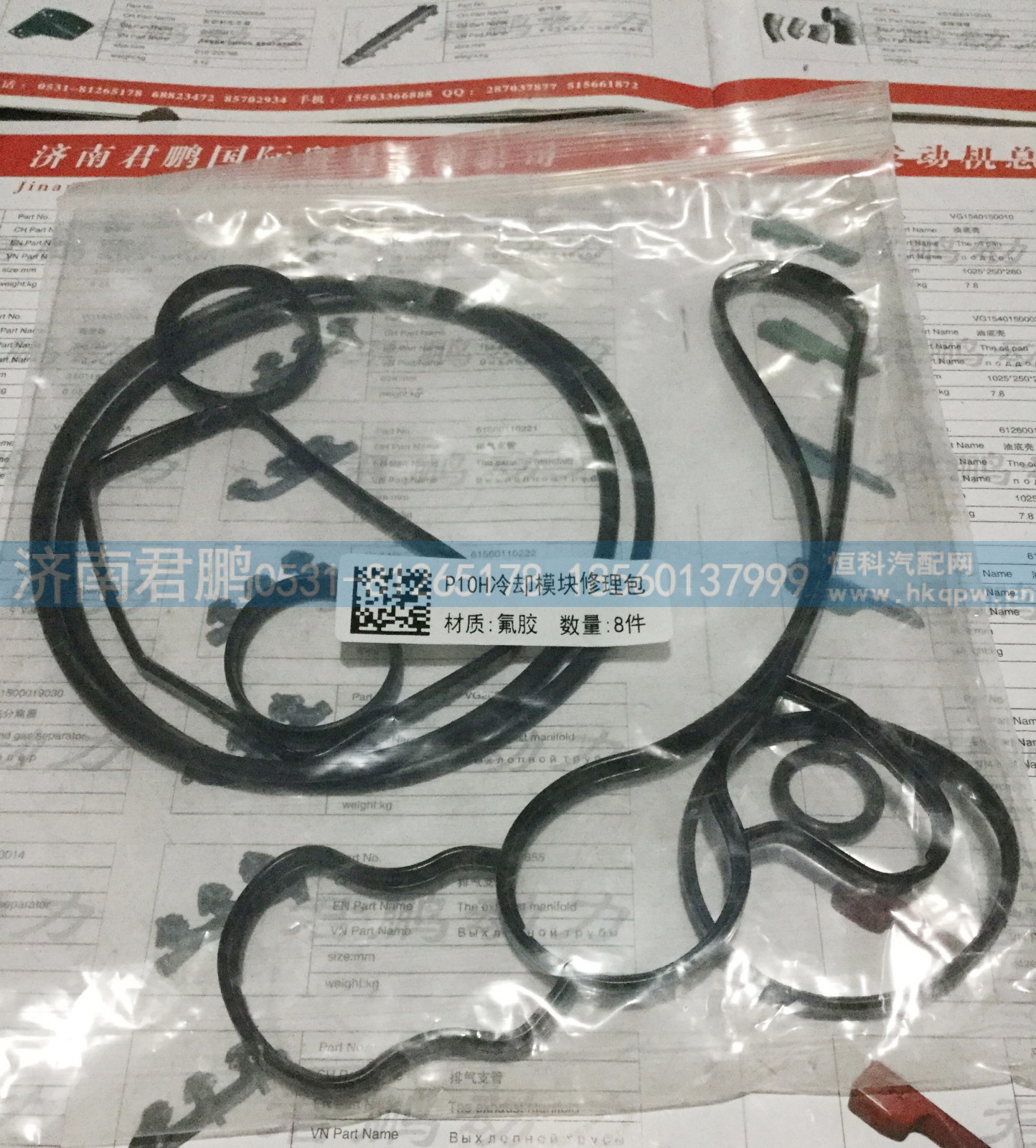 济南君鹏供应P10H冷却模块修理包