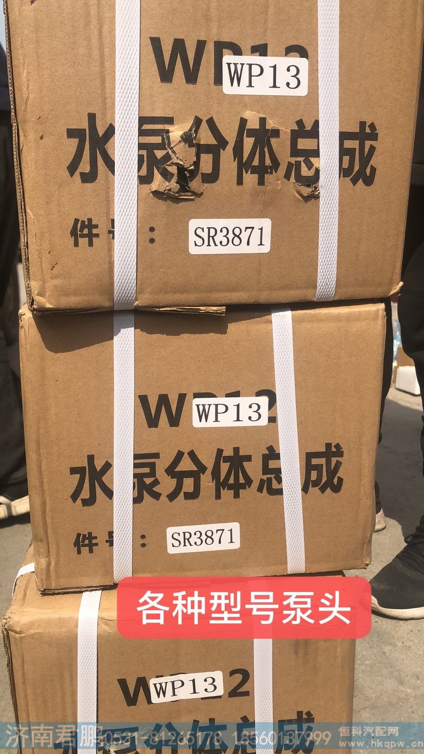 濟南君鵬供應(yīng)SE3871 WP13水泵分體總成