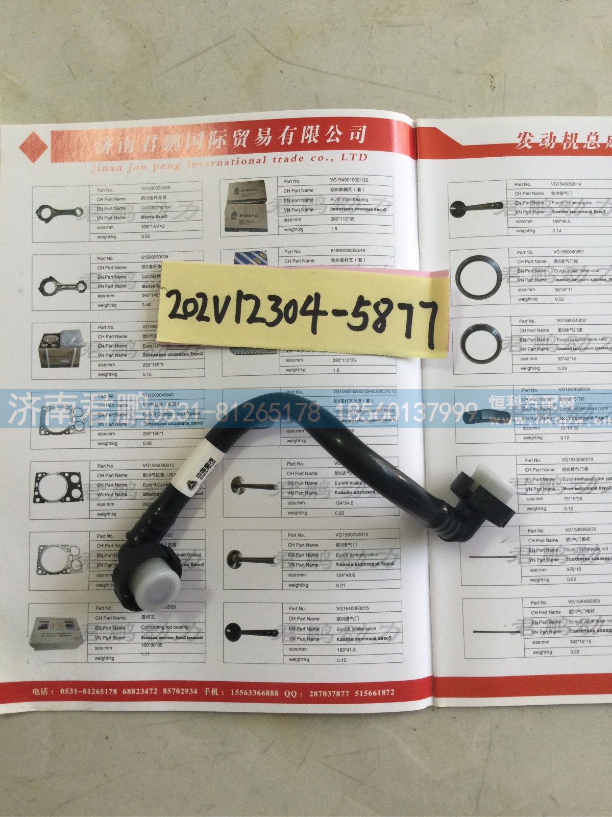 济南君鹏供应202V12304-5877