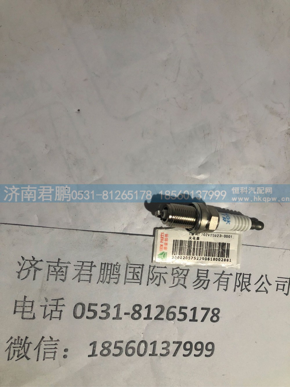 济南君鹏供应202V25923-0001火花塞