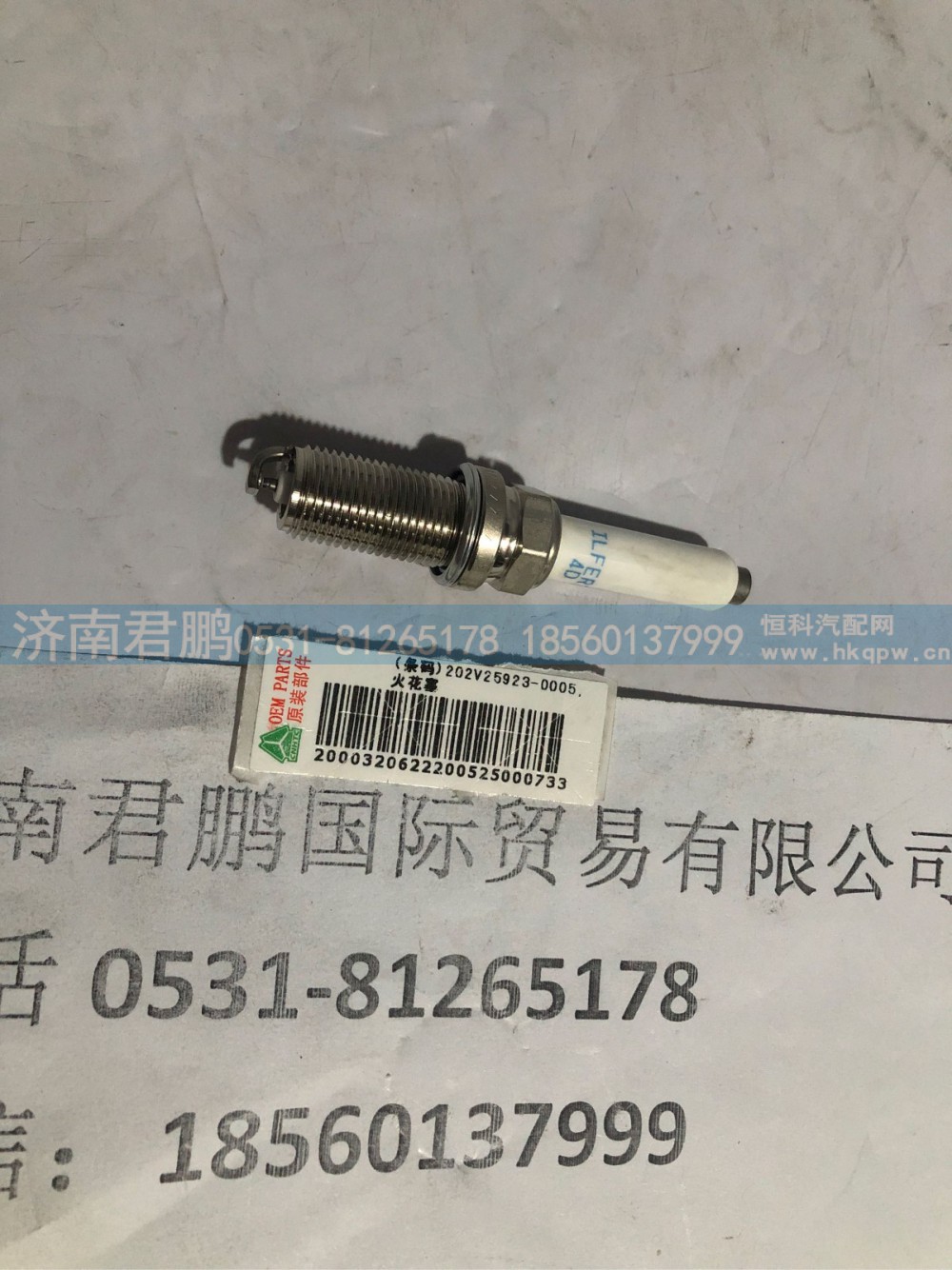 济南君鹏供应202V25923-0005火花塞