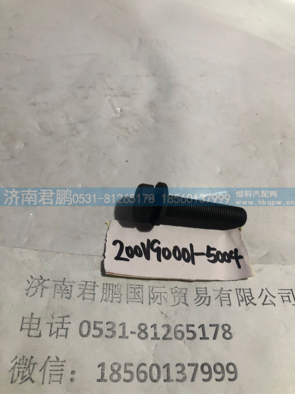 济南君鹏供应200V90001-5004六角头螺栓和垫圈