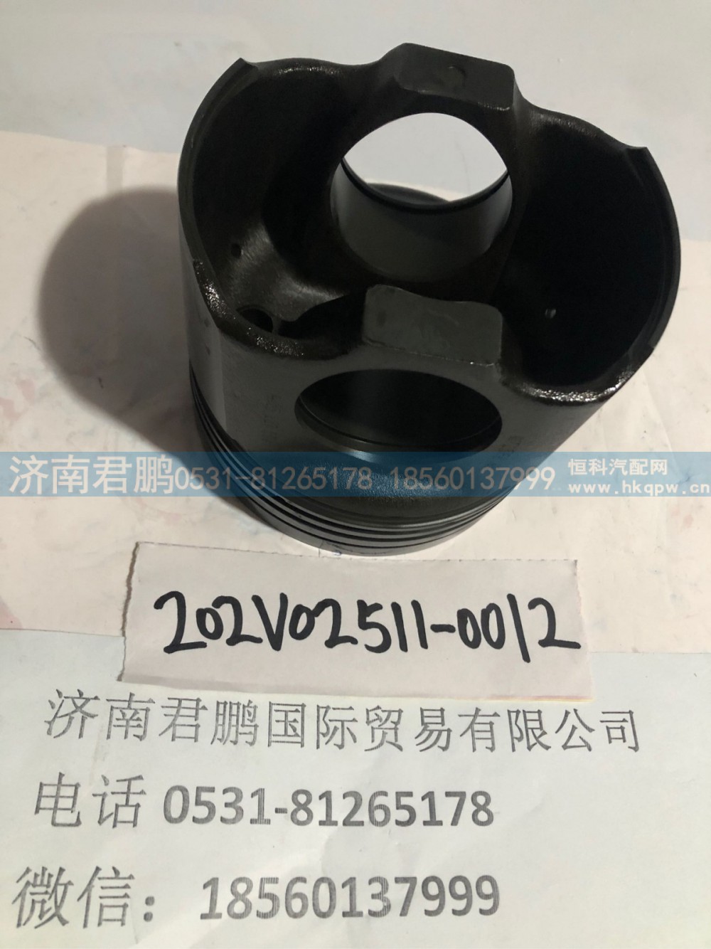 济南君鹏供应202V02511-0012