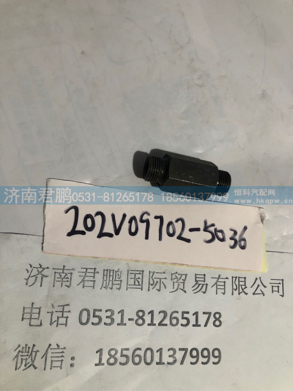 济南君鹏供应202V09702-5036进油管座