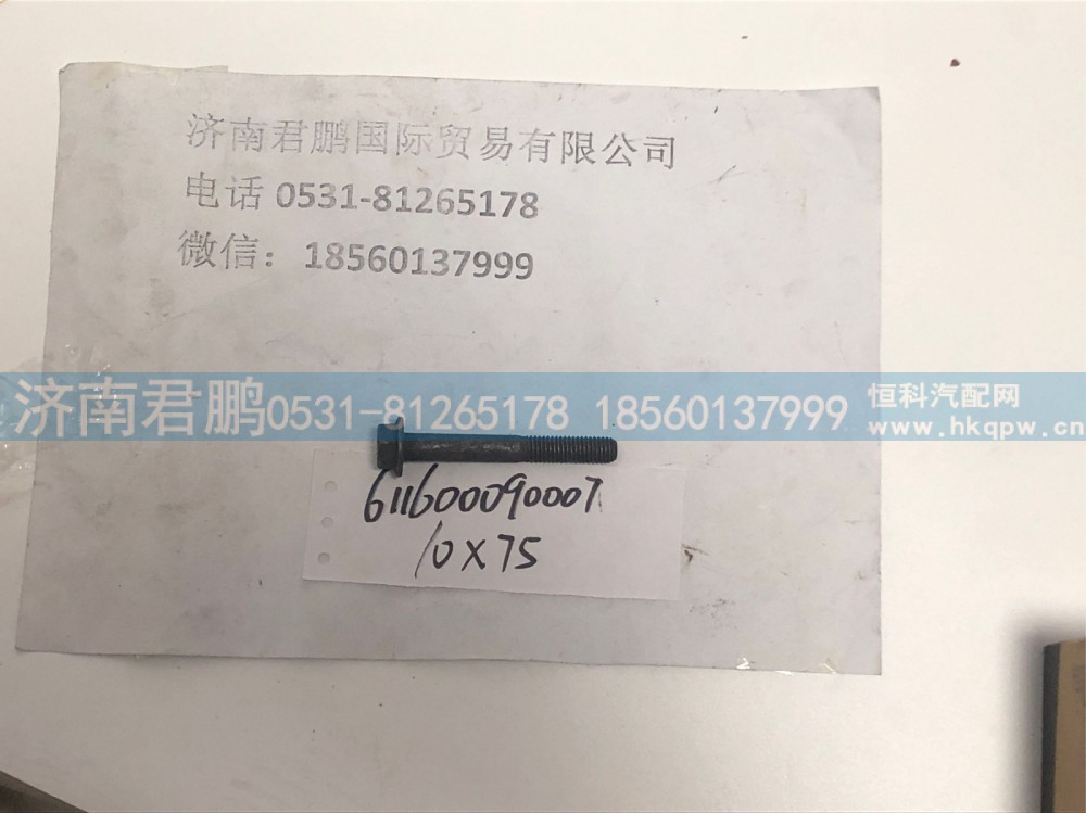 济南君鹏供应611600090007