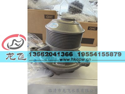 ,,临清市龙飞水泵有限公司