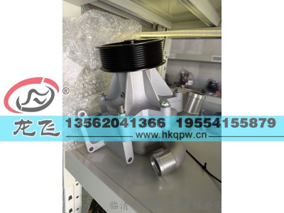 ,,临清市龙飞水泵有限公司