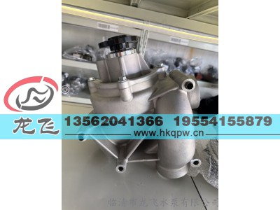 ,,临清市龙飞水泵有限公司