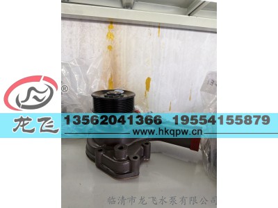 ,,临清市龙飞水泵有限公司