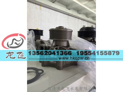 ,,临清市龙飞水泵有限公司
