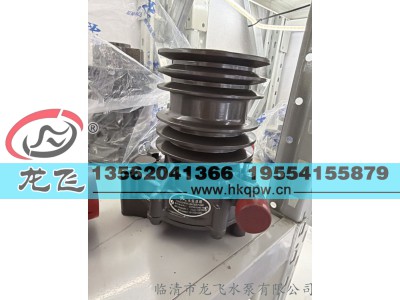 ,,临清市龙飞水泵有限公司