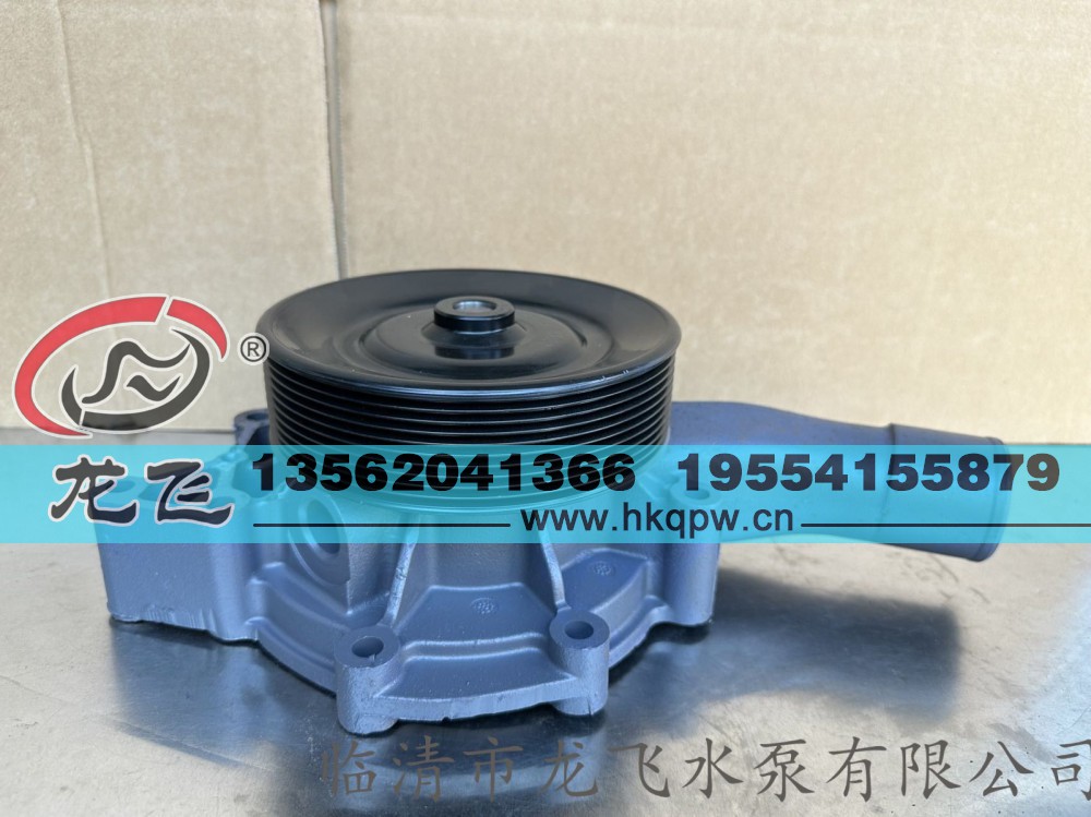 ,,临清市龙飞水泵有限公司