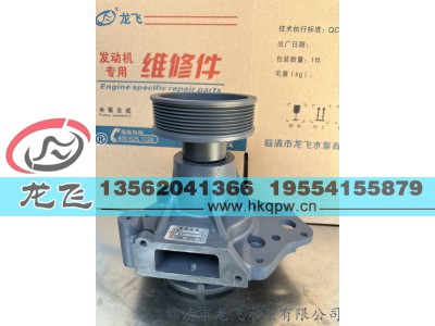 ,,临清市龙飞水泵有限公司