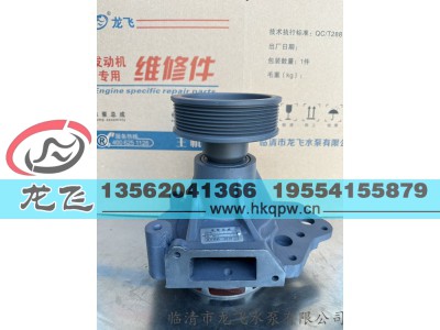 ,,临清市龙飞水泵有限公司