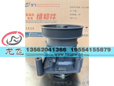 ,,临清市龙飞水泵有限公司