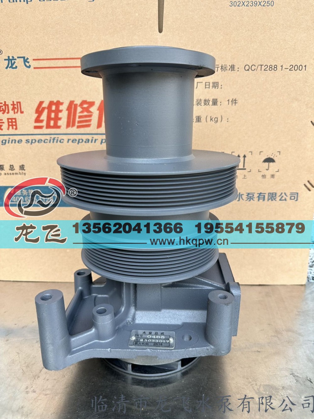 ,,临清市龙飞水泵有限公司