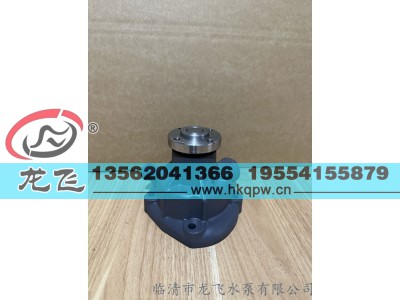 ,,临清市龙飞水泵有限公司