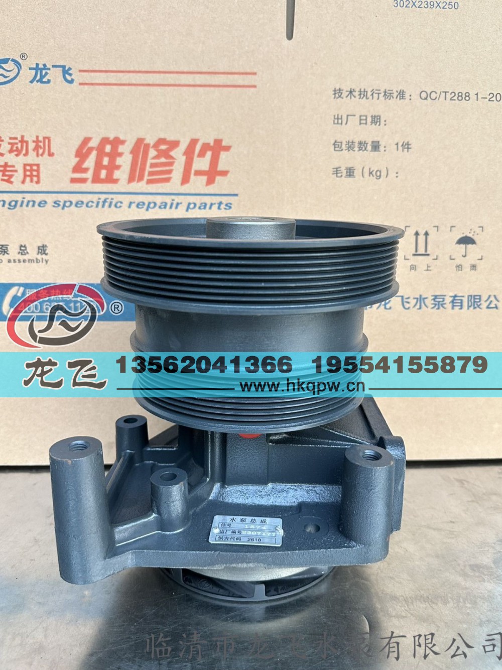,,临清市龙飞水泵有限公司