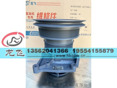 ,,临清市龙飞水泵有限公司