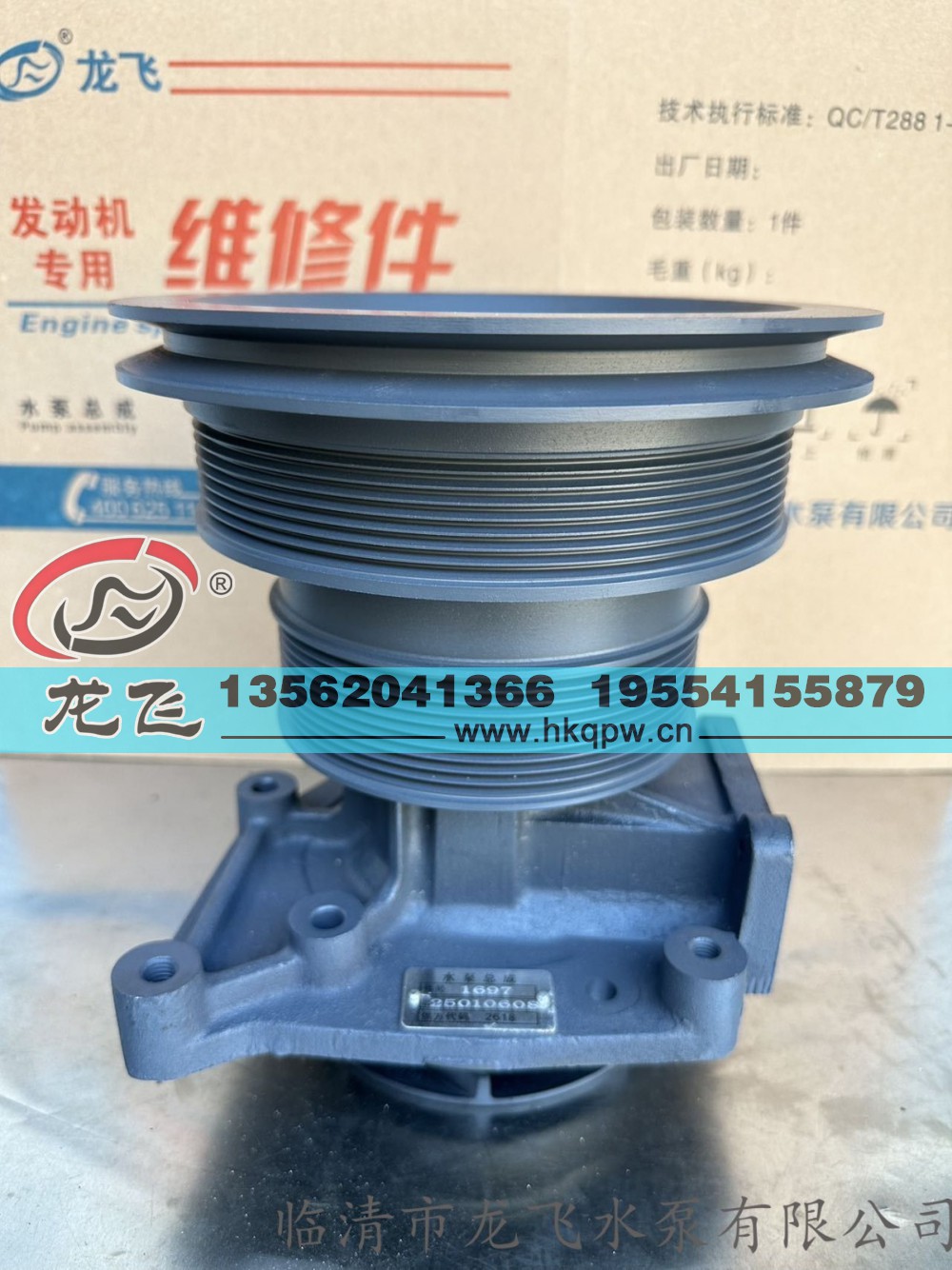 ,,临清市龙飞水泵有限公司