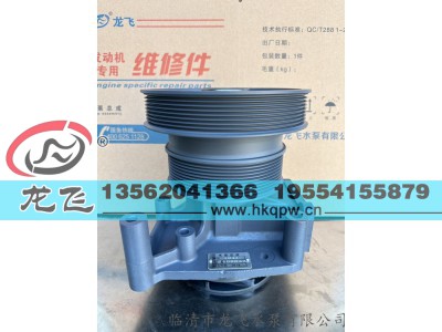 ,,临清市龙飞水泵有限公司