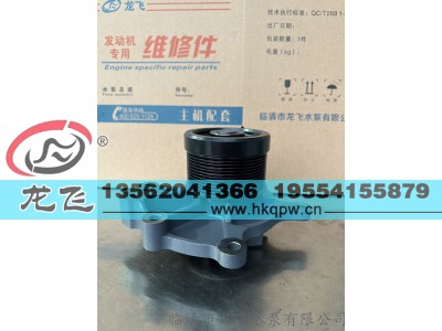 ,,临清市龙飞水泵有限公司