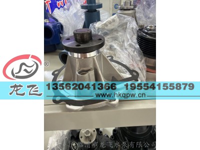 ,,临清市龙飞水泵有限公司