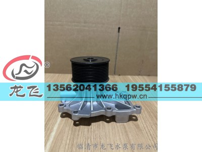 ,,临清市龙飞水泵有限公司