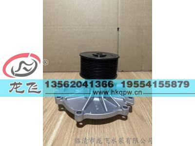 ,,临清市龙飞水泵有限公司