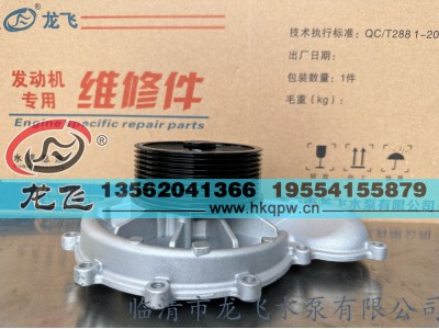 ,,临清市龙飞水泵有限公司