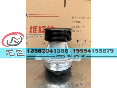 ,,临清市龙飞水泵有限公司
