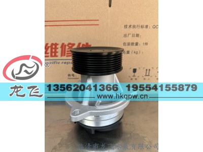 ,,临清市龙飞水泵有限公司