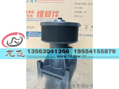 ,,临清市龙飞水泵有限公司