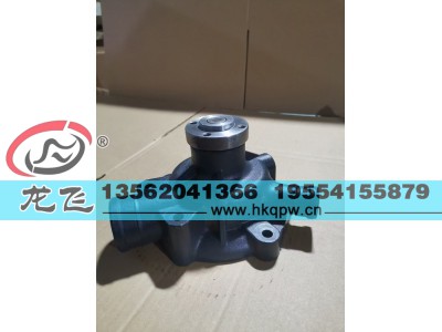,,临清市龙飞水泵有限公司