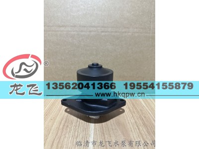,,临清市龙飞水泵有限公司