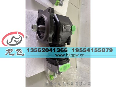 ,,临清市龙飞水泵有限公司