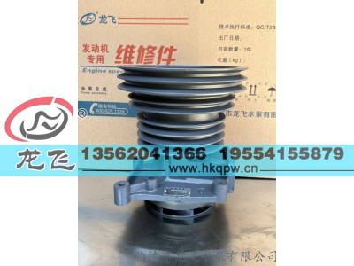 ,,临清市龙飞水泵有限公司