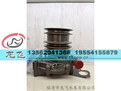 ,,临清市龙飞水泵有限公司
