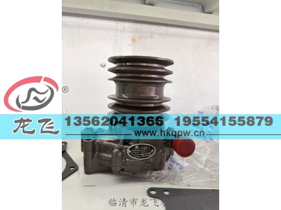 ,,临清市龙飞水泵有限公司
