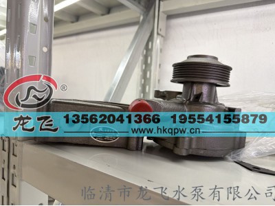 ,,临清市龙飞水泵有限公司