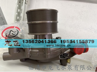 ,,临清市龙飞水泵有限公司