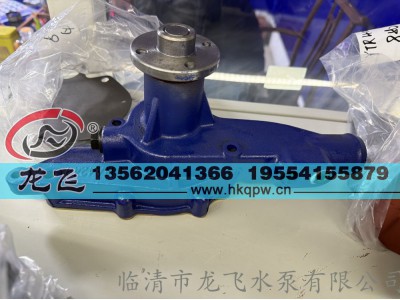,,临清市龙飞水泵有限公司