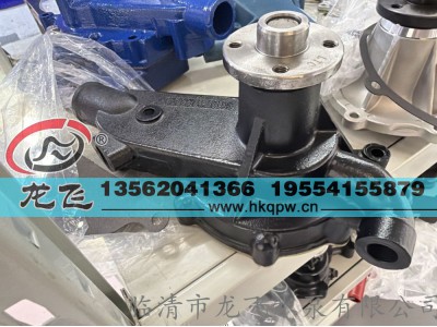 ,,临清市龙飞水泵有限公司